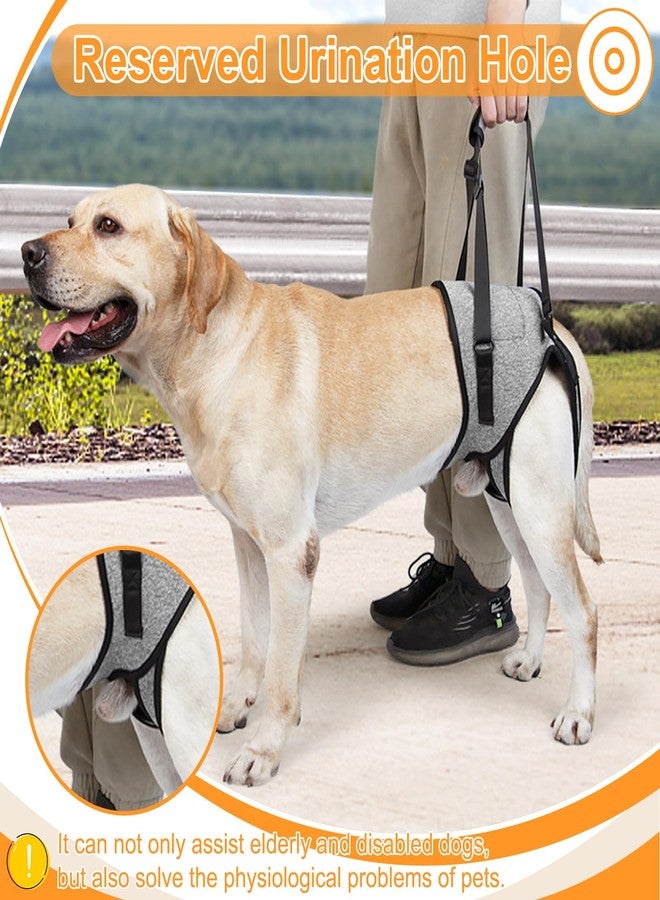 VINGVO Dog Sling for for Small Dogs Hind Leg Support, Dog Lift Harness for Back Legs Rehabilitation, Hip Brace Support Closure Adjustable Strap Large Elderly Dogs Lift Harness (S) - Image 2